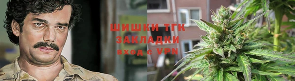 шишки Белая Холуница