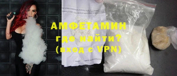 шишки Белая Холуница
