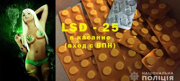 шишки Белая Холуница