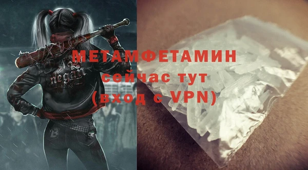шишки Белая Холуница