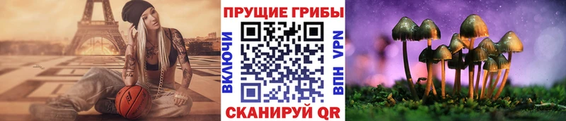 Псилоцибиновые грибы прущие грибы Петропавловск-Камчатский