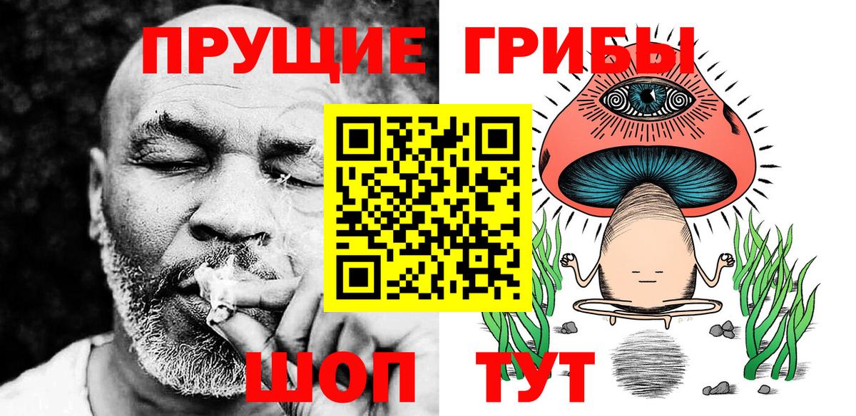 Псилоцибиновые грибы MAGIC MUSHROOMS  Петропавловск-Камчатский 