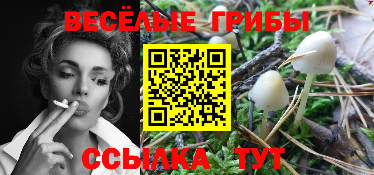 Псилоцибиновые грибы Psilocybine cubensis Петропавловск-Камчатский