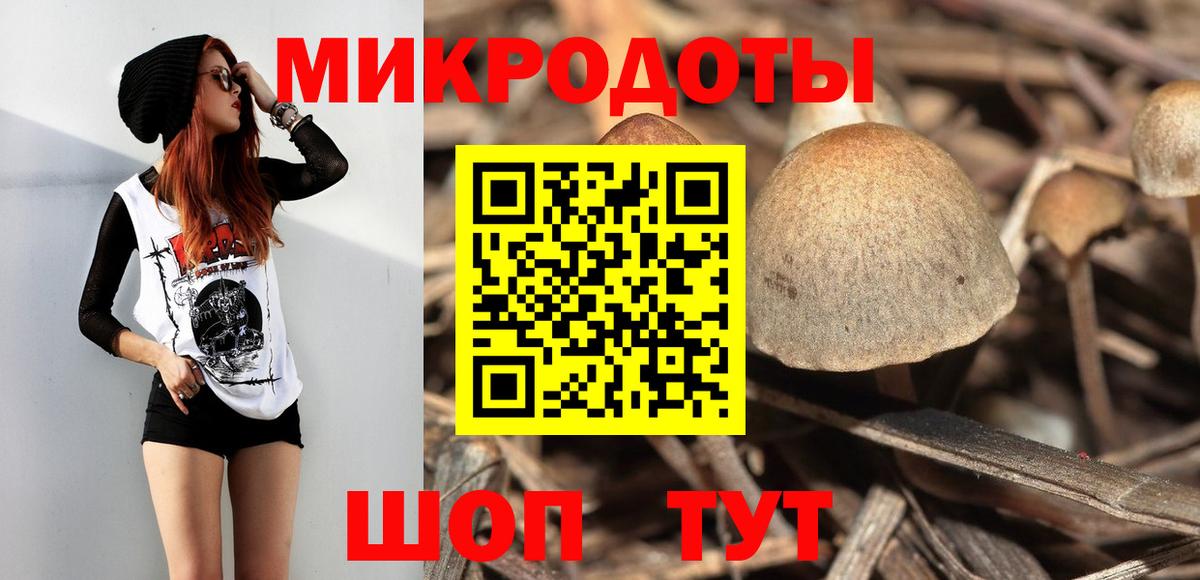 Петропавловск-Камчатский  Псилоцибиновые грибы прущие грибы  Вход с VPN 